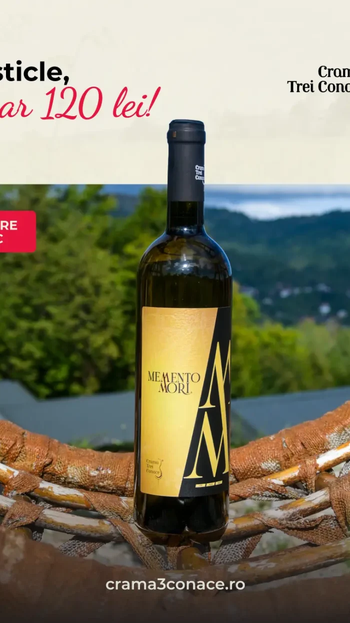 Pachet 6 sticle - Vin Alb sec 2022 – Memento Mori