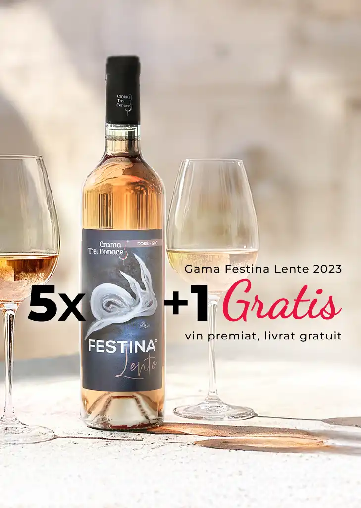 Pachet 5+1 sticle de vin Festina Lente Rose sec