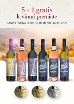 Pachet 5+1 sticle de vin (3 Festina lente alb, rose, rosu + 3 MM alb, rose, rosu)