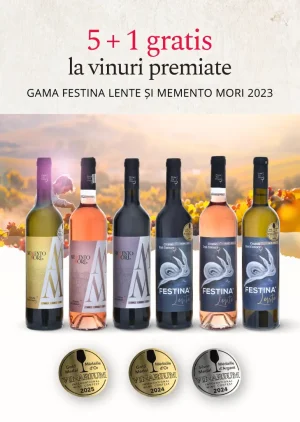Pachet 5+1 sticle de vin (3 Festina lente alb, rose, rosu + 3 MM alb, rose, rosu)