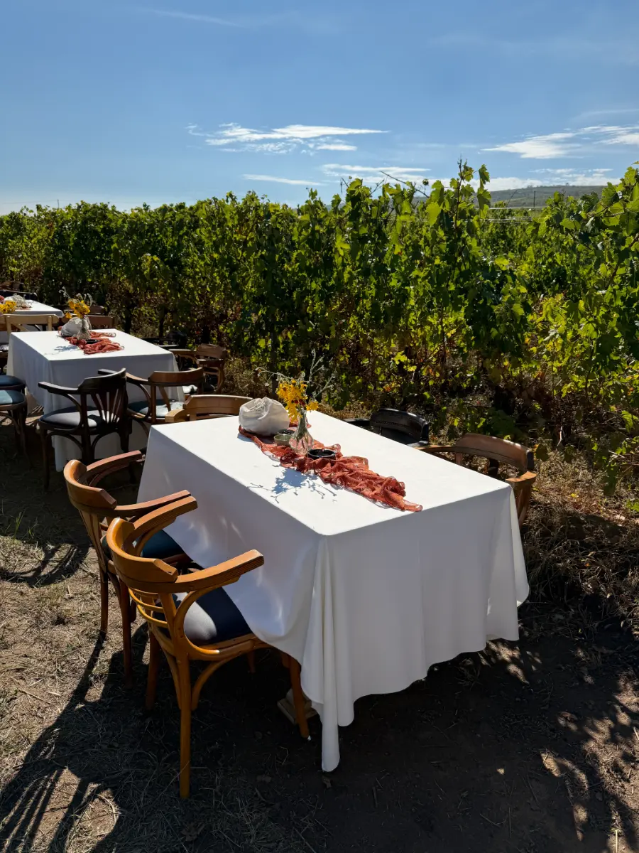 Image gallery marquee