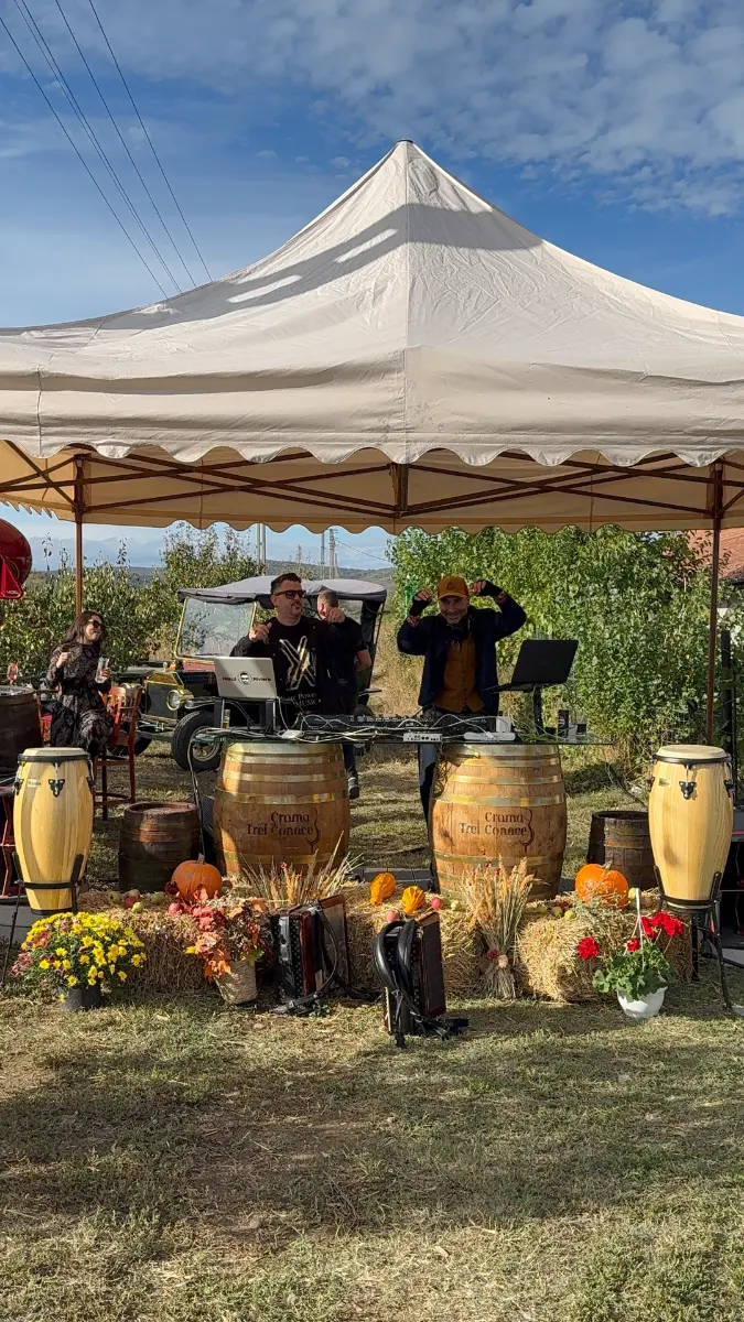 Image gallery marquee