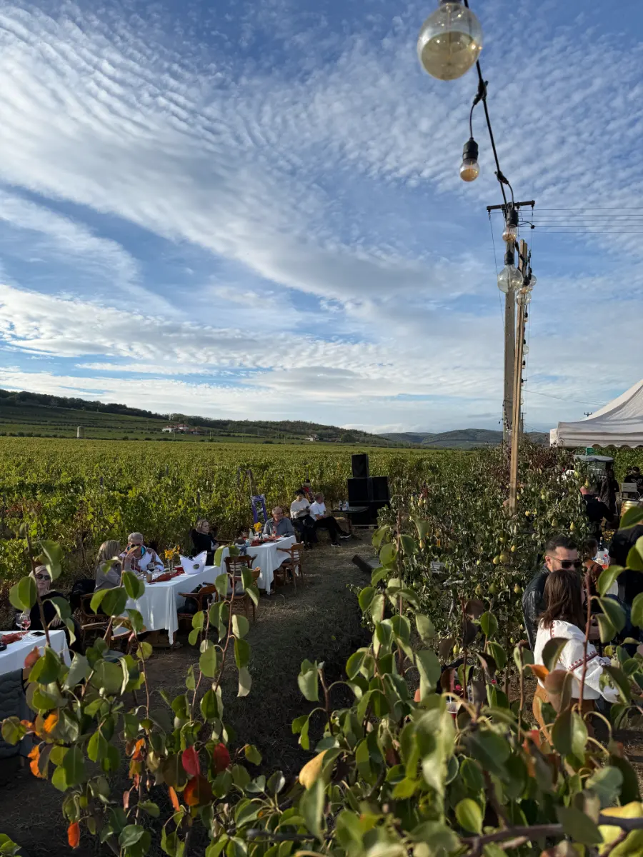 Image gallery marquee