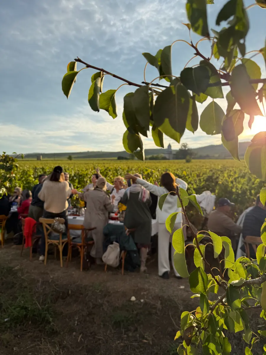 Image gallery marquee