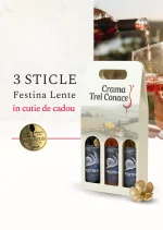 Pachet 3x Festina Lente + cutie cadou