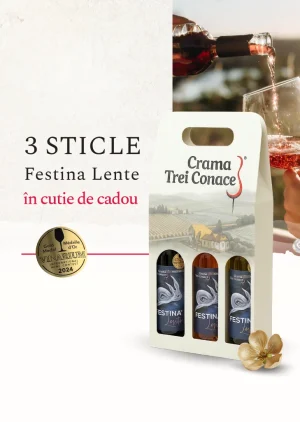 Pachet 3x Festina Lente + cutie cadou