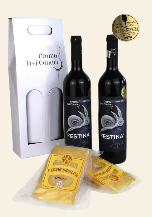 Festina-+-Branza