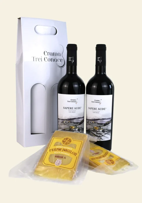 Sapere Aude + Branza